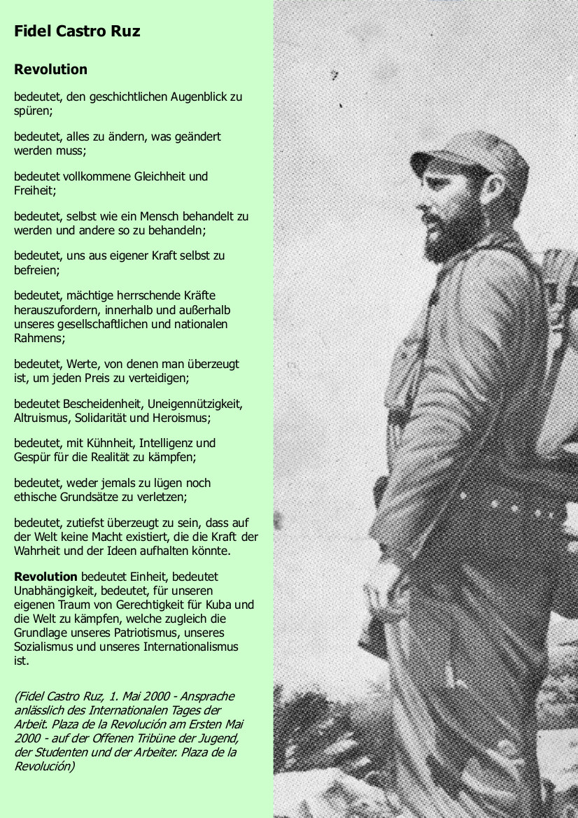 Fidel Castro: Revolución bedeutet